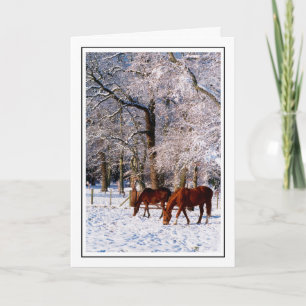 Cartes Pour Fêtes Annuelles Thoroughbred Horses