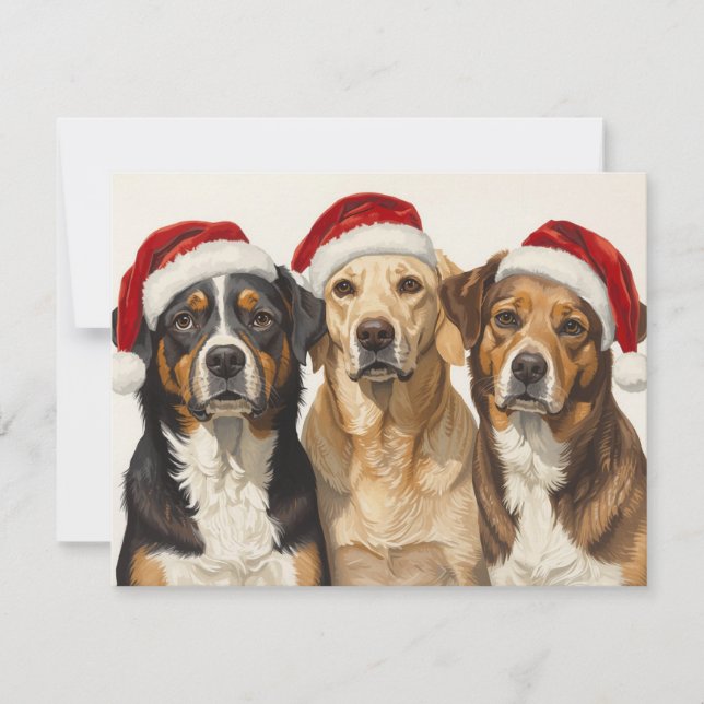 Cartes Pour Fêtes Annuelles Three Dogs Santa Hats Merry Christmas Trio (Devant)