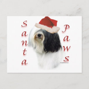 Cartes Pour Fêtes Annuelles Tibétain Terrier Père Noël Paws