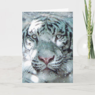 Cartes Pour Fêtes Annuelles Tigre Blanc d'Hiver