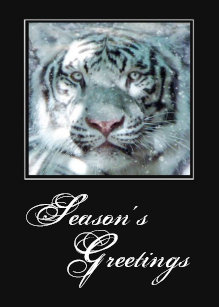 Cartes De Vœux Tigre Blanc Zazzle Fr Cartes De Vœux Tigre Blanc Zazzle Fr