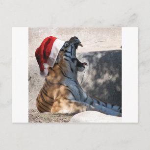 Cartes Pour Fêtes Annuelles Tigre du Bengale avec chapeau de Père Noël