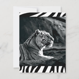 Cartes Pour Fêtes Annuelles Tigre noir et blanc