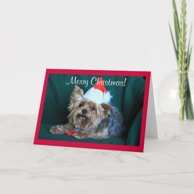 Cartes Pour Fêtes Annuelles Tiny Yorkie à Santa Hat (Devant)
