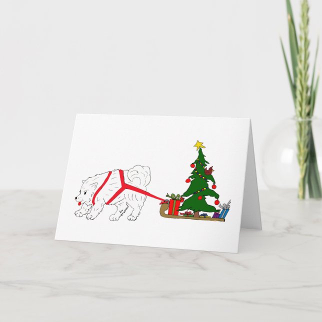 Cartes Pour Fêtes Annuelles Tirez le Samoyed tirant l'arbre de Noël (Devant)