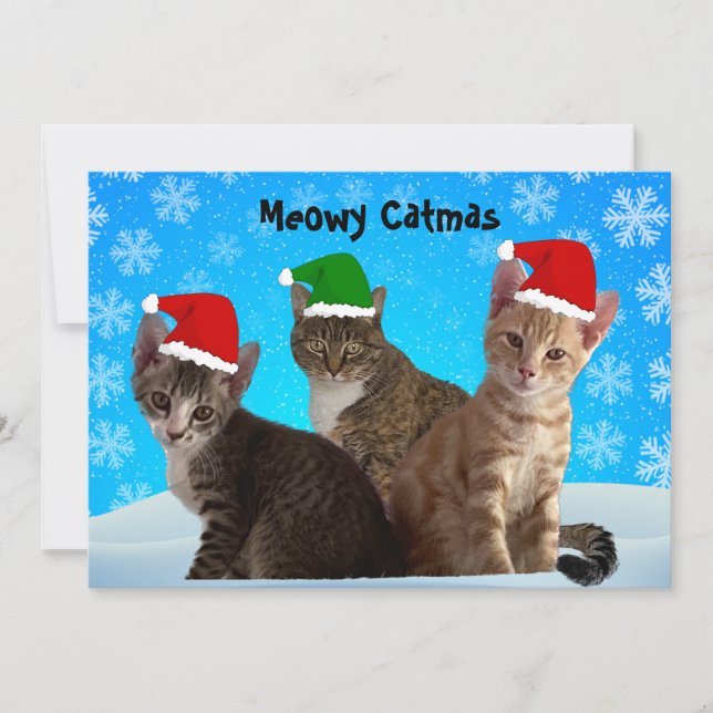 Cartes Pour Fêtes Annuelles Tito, Taz et Annie vous souhaitent un Noël Meowy (Devant)