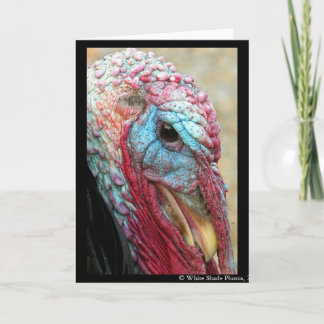 Cartes Pour Fêtes Annuelles Tom Turquie
