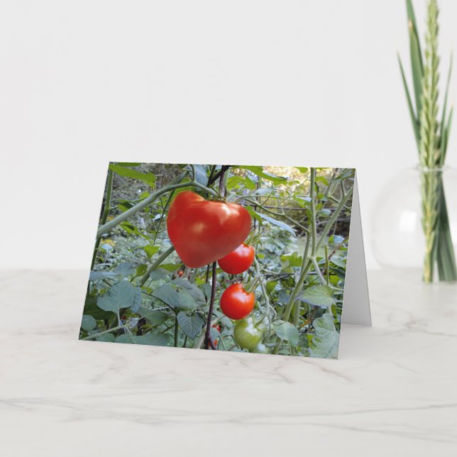 Cartes Pour Fêtes Annuelles Tomate en forme de coeur aucun message (Devant)