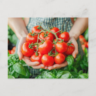 Cartes Pour Fêtes Annuelles Tomates de vigne avec charme campagnard