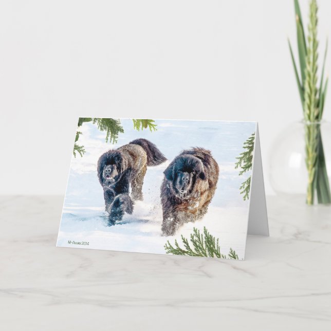 Cartes Pour Fêtes Annuelles Tonnerre dans la nouvelle année ! (Devant)