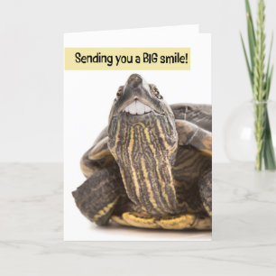 Cartes Pour Fêtes Annuelles Tortue aux grandes dents Souriant Humour