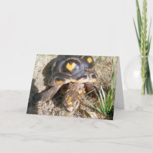 Cartes Pour Fêtes Annuelles Tortue avec coeur motif Valentine
