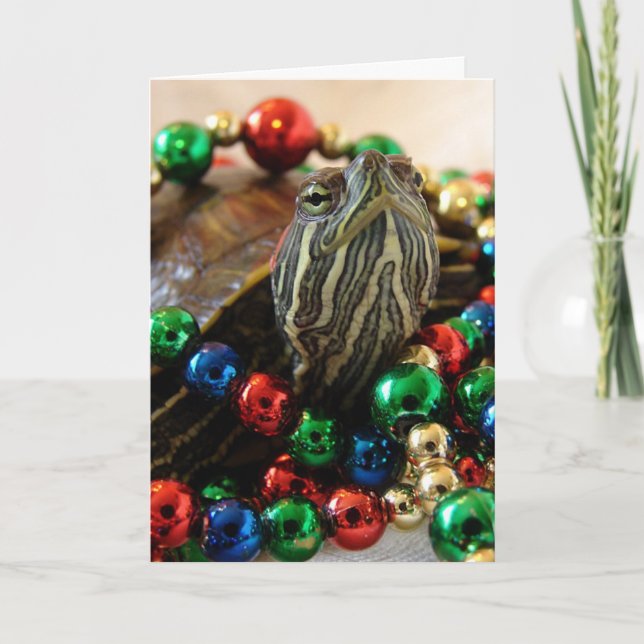 Cartes Pour Fêtes Annuelles Tortue de Noël (Devant)
