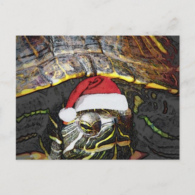Cartes Pour Fêtes Annuelles Tortue de Noël (Devant)