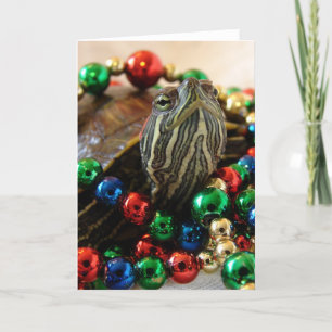 Cartes Pour Fêtes Annuelles Tortue de Noël