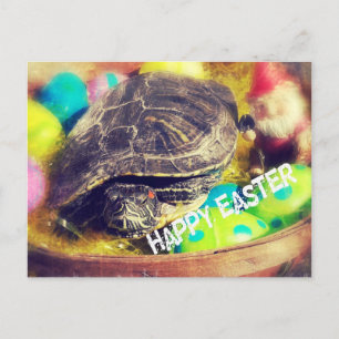 Cartes Pour Fêtes Annuelles Tortue de Pâques