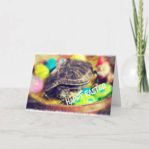 Cartes Pour Fêtes Annuelles Tortue de Pâques