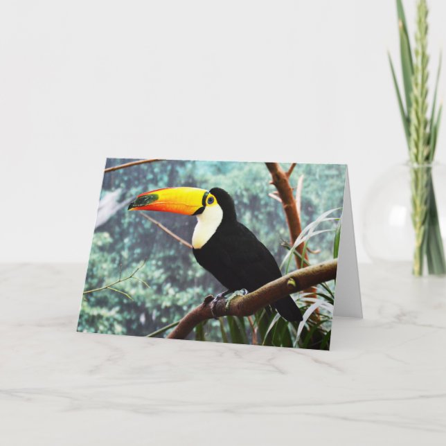 Cartes Pour Fêtes Annuelles Toucan (Devant)