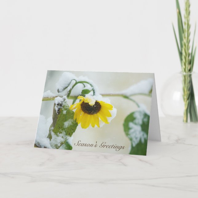 Cartes Pour Fêtes Annuelles Tournesol d'hiver (Devant)