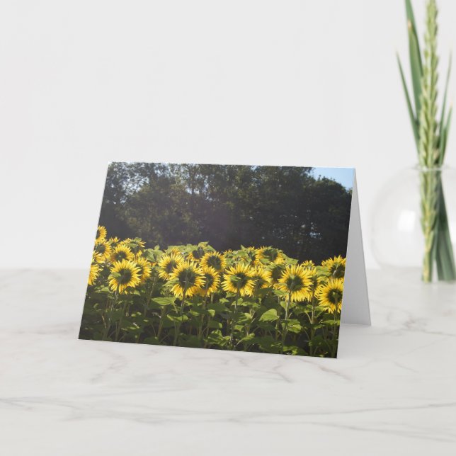Cartes Pour Fêtes Annuelles Tournesols en France (Devant)