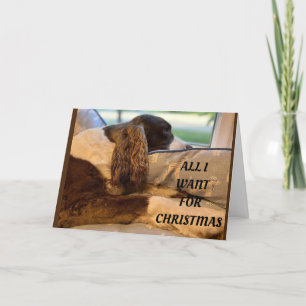 CARTES POUR FÊTES ANNUELLES TOUT CE QUE JE VEUX POUR NOËL, C'EST DE VOIR "VOUS