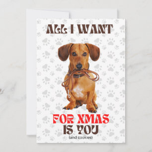 Cartes Pour Fêtes Annuelles Tout ce que je veux pour Xmas Doxie Leash drôle