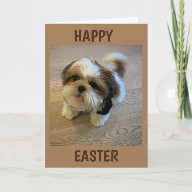 CARTES POUR FÊTES ANNUELLES TOUT CELA "VOUS APPORTE JOIE" CETTE PÂQUE (Devant)