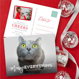 Cartes Pour Fêtes Annuelles Tout Chat Mignon Amoureux des Chats Photo Animaux