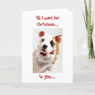 Cartes Pour Fêtes Annuelles Tout que je veux pour Noël… est vous