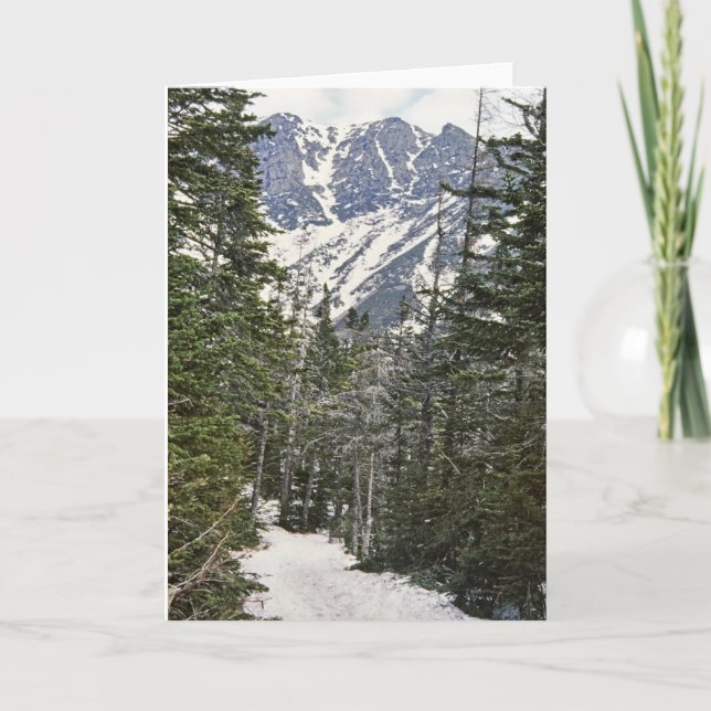 Cartes Pour Fêtes Annuelles Traînée d'hiver de Mt Washington (Devant)