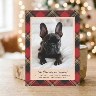 Cartes Pour Fêtes Annuelles Traitements de Noël avec photo de compagnie à carr