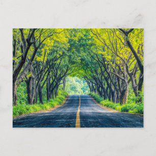 Cartes Pour Fêtes Annuelles Traversée De L'Allée D'Arbre Dense