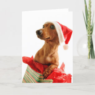 Cartes Pour Fêtes Annuelles Très Noël de Doxie