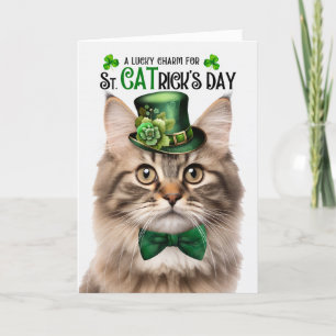 Cartes Pour Fêtes Annuelles Tri Color Fluffy Cat St CATrick's Day Lucky Charm