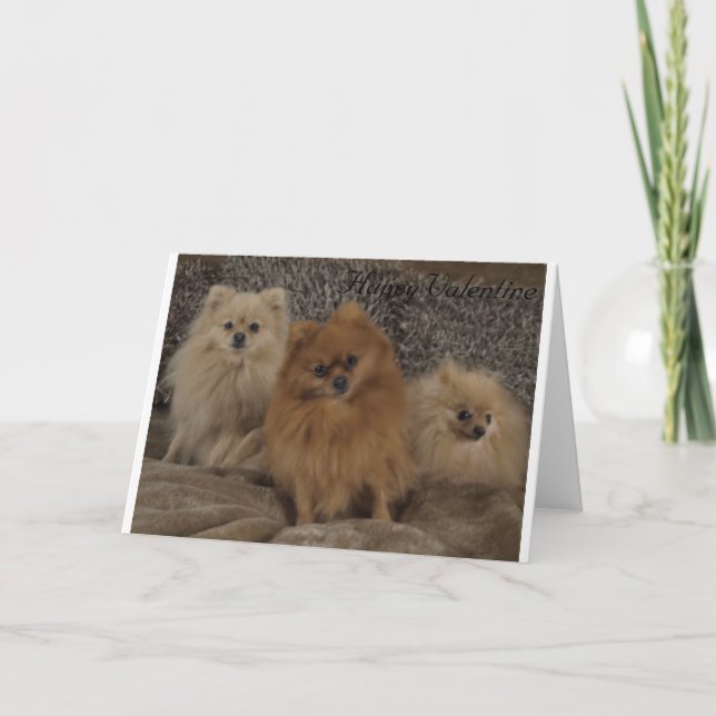Cartes Pour Fêtes Annuelles Trio pomeranian de pure race de tasse de thé, le (Devant)