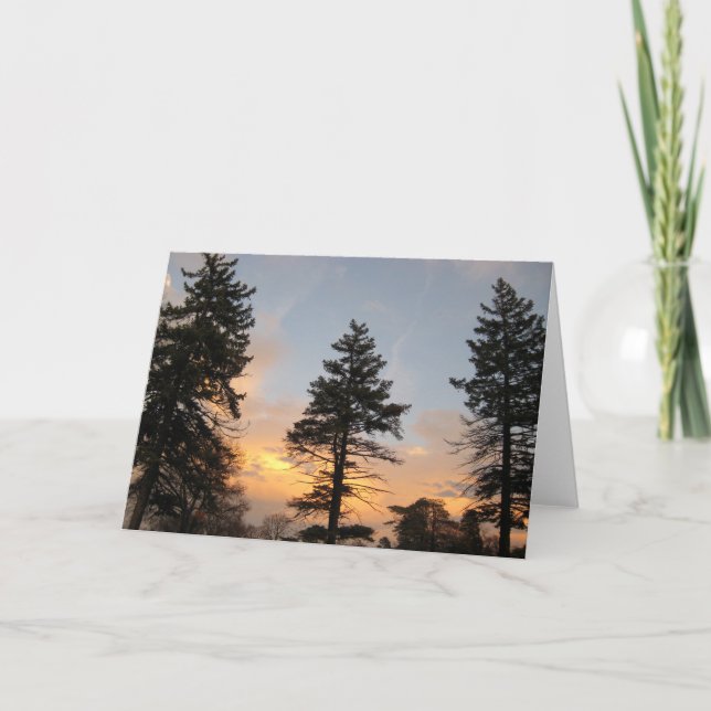 Cartes Pour Fêtes Annuelles Trois arbres au coucher du soleil en hiver (Devant)