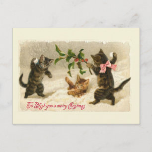 Cartes Pour Fêtes Annuelles Trois chats et une branche Holly