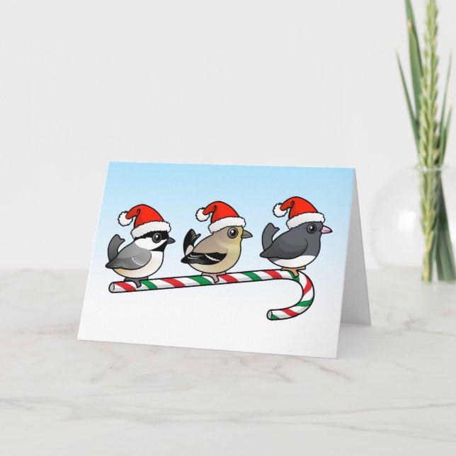 Cartes Pour Fêtes Annuelles Trois oiseaux chanteurs (US) de Noël (Devant)