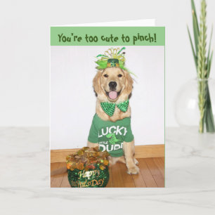 Cartes Pour Fêtes Annuelles Trop mignon Golden Retriever pour la Saint-Patrick