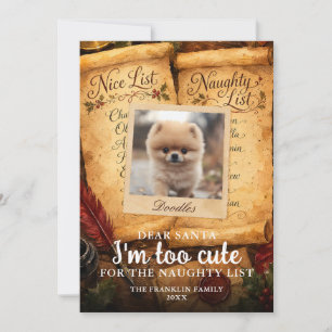 Cartes Pour Fêtes Annuelles Trop mignon Santa Nice Liste des vilains Photo d'a
