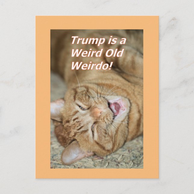 Cartes Pour Fêtes Annuelles Trump bizarre (Devant)