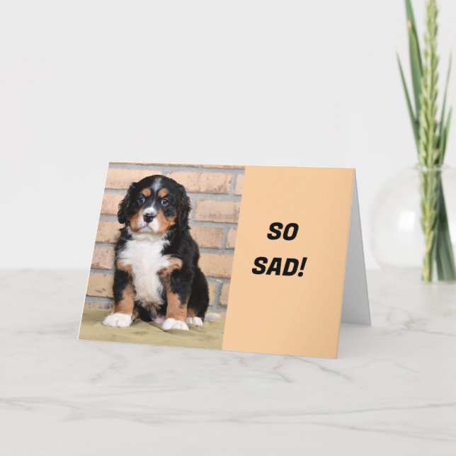 CARTES POUR FÊTES ANNUELLES "TU AS MANQUÉ DEPUIS QUE TU AS DÉMÉNAGÉ" (Devant)