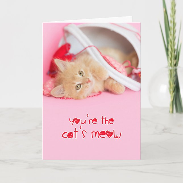 Cartes Pour Fêtes Annuelles Tu es le chats chou chaton valentine (Devant)