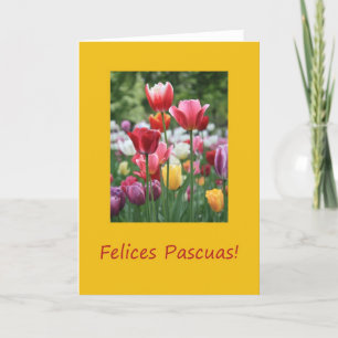 Cartes Pour Fêtes Annuelles Tulipe de Pâques espagnole