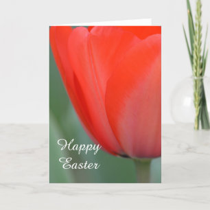 Cartes Pour Fêtes Annuelles Tulipe rouge