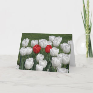 Cartes Pour Fêtes Annuelles Tulipes de Valentine