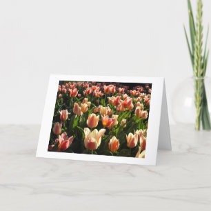 Cartes Pour Fêtes Annuelles tulipes en abondance