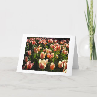 Cartes Pour Fêtes Annuelles tulipes en abondance