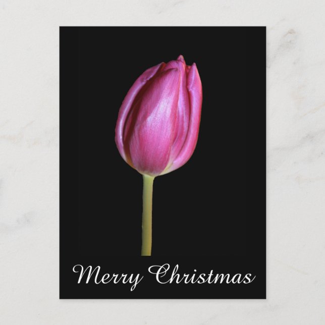 Cartes Pour Fêtes Annuelles Tulipes roses Joyeux Noël Floral Flower Photos (Devant)