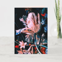 TULIPS ROSE BLANC, CUPIDES, FLEURS Saint-Valentin